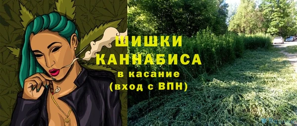 таблы Новодвинск
