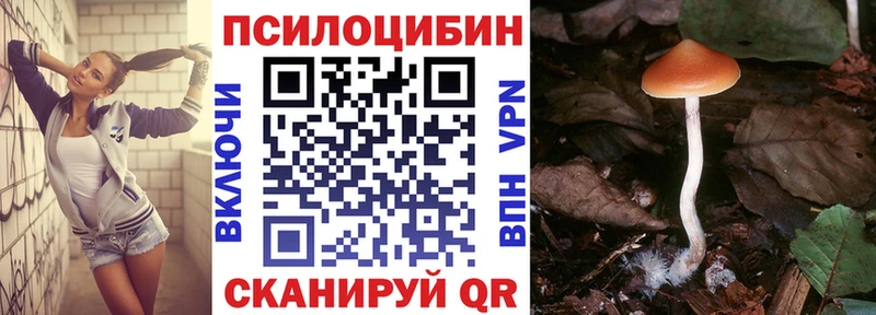 купить   Карпинск  Псилоцибиновые грибы мухоморы 