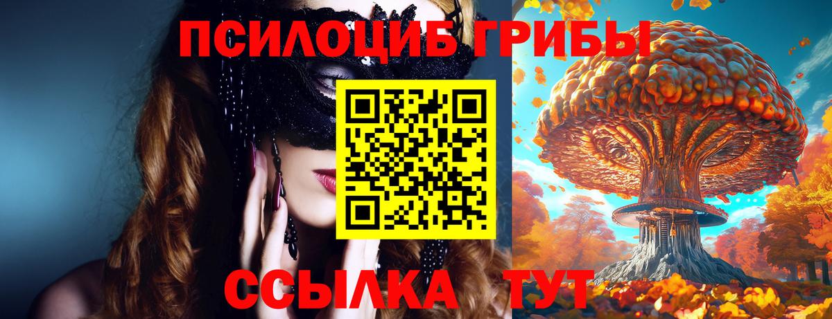 Псилоцибиновые грибы Psilocybine cubensis Карпинск
