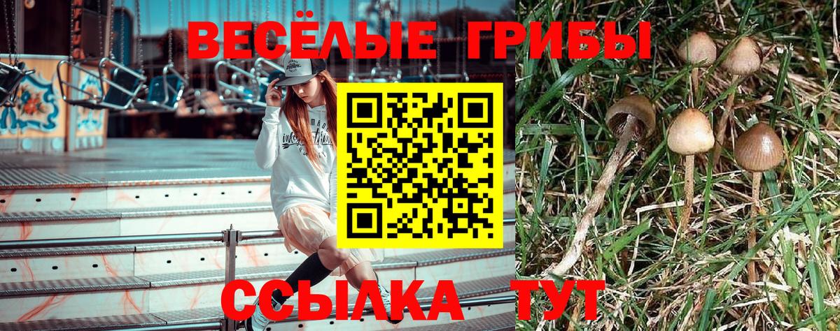 Галлюциногенные грибы GOLDEN TEACHER  Карпинск 